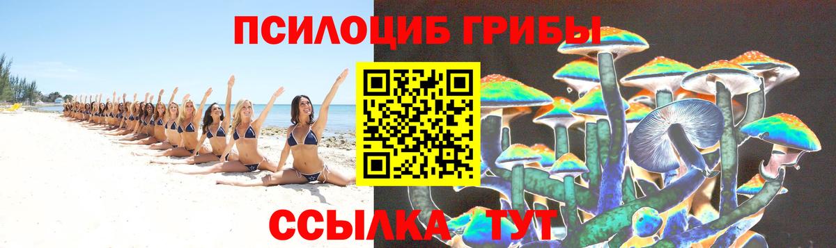 Фрязино  купить  сайты  Вход с VPN  Галлюциногенные грибы Psilocybine cubensis 